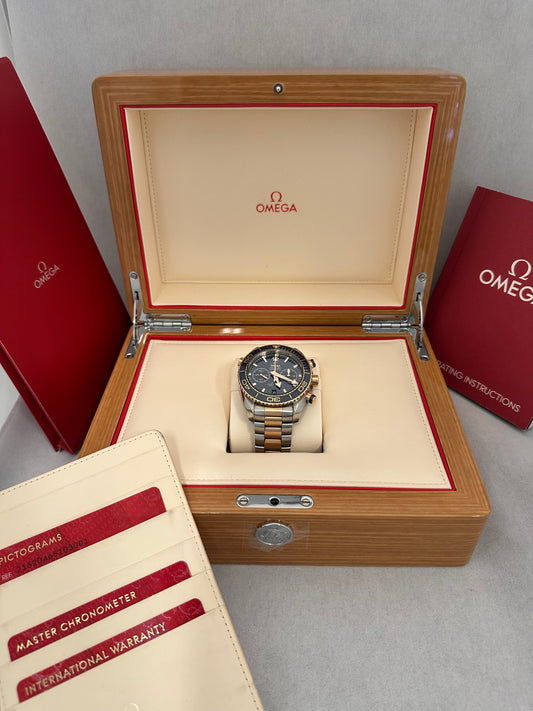 Omega Planet Ocean 600M CO‑AXIAL MASTER CHRONOMETER 45,5mm